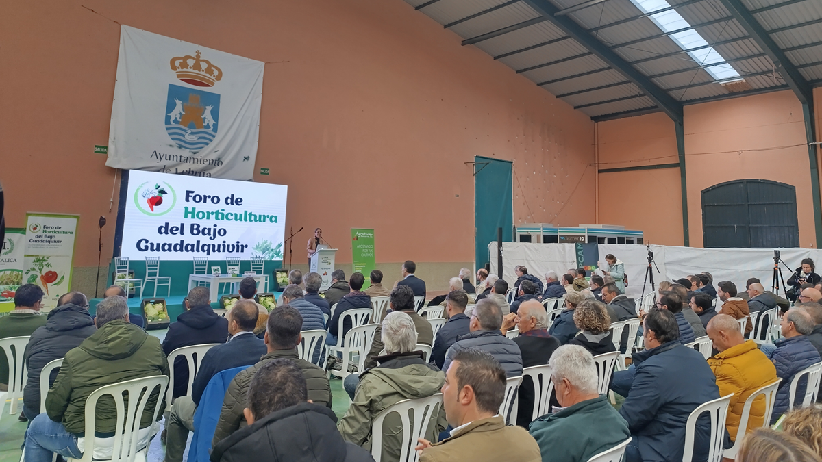 horticolas bajo guadalquivir